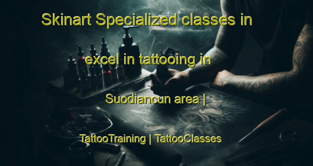 Skinart Specialized classes in excel in tattooing in Suodiancun area | TattooTraining | TattooClasses | SkinartTraining-China
